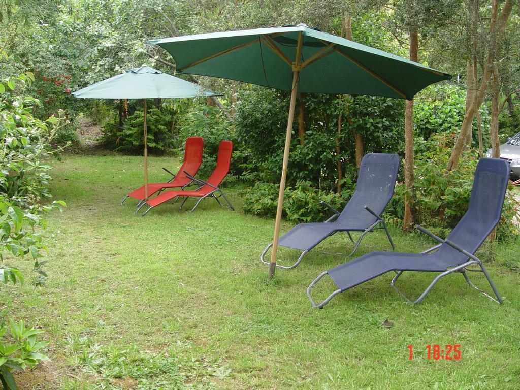 Cabanas El Bosque Patagonico Фрутилар Стая снимка