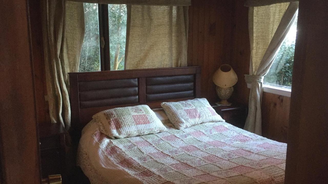 Cabanas El Bosque Patagonico Фрутилар Екстериор снимка